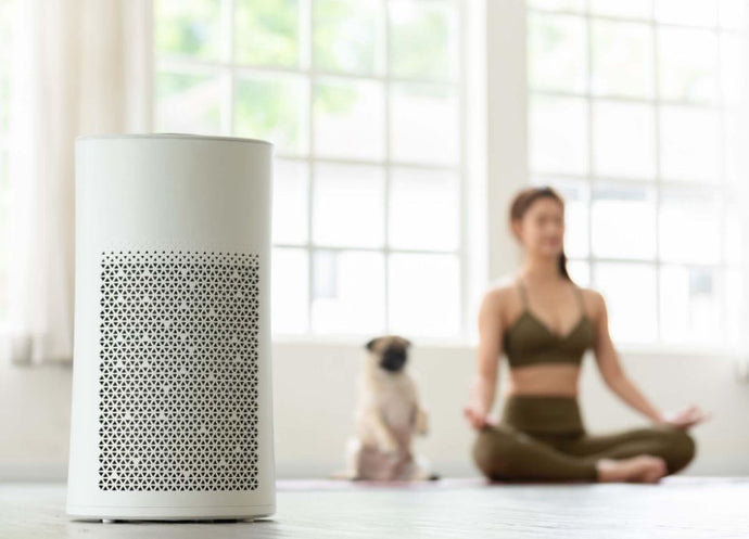 Top 10 Air Purifiers