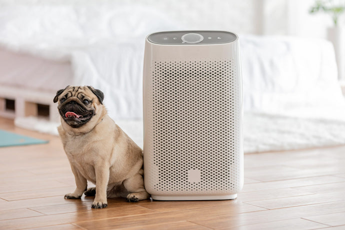 Pet Friendly Air Purifiers