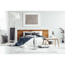 Load image into Gallery viewer, LightAir IonFlow 2.0 Evolution Air Purifier