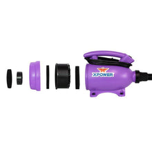 Load image into Gallery viewer, XPOWER B-55 Home Pet Dryer